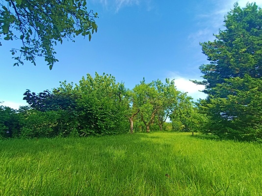 Elbląg 🌳 DZIAŁKA REKREACYJNO-WYPOCZYNKOWA ROD ELBLĄG UL. KOŚCIUSZKI 🌞DUŻA 560m2 z altanką i wodą