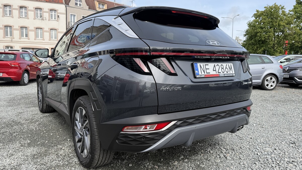 Elbląg Auto Leew LEWANDOWSKI Kupujemy i Sprzedajemy tylko dobre auta Za auta z Polskiego Salonu Płacimy Najwięcej