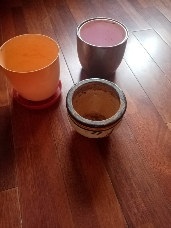 Elbląg Zamienię wszystko to co jest na zdjęciach na 20 jajek (z Biedronki czy z Kauflanda).
Najlepiej wszystko na raz