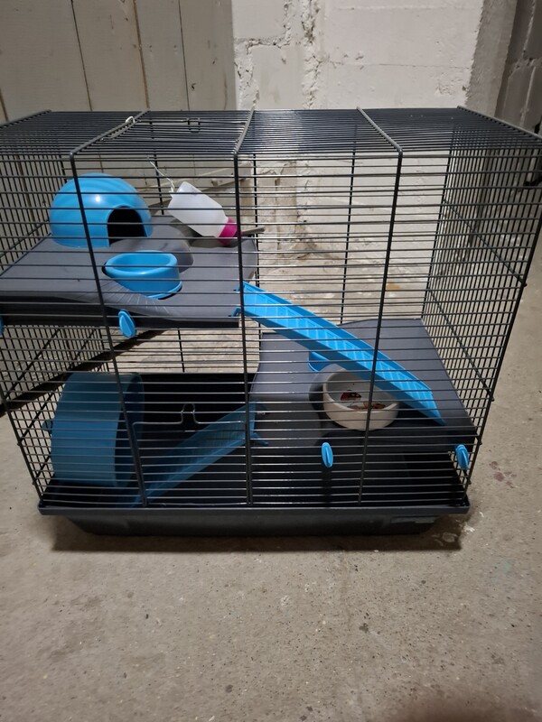 Elbląg Sprzedam praktycznie nową klatke na chomika wraz z kontenerkiem do transportu.