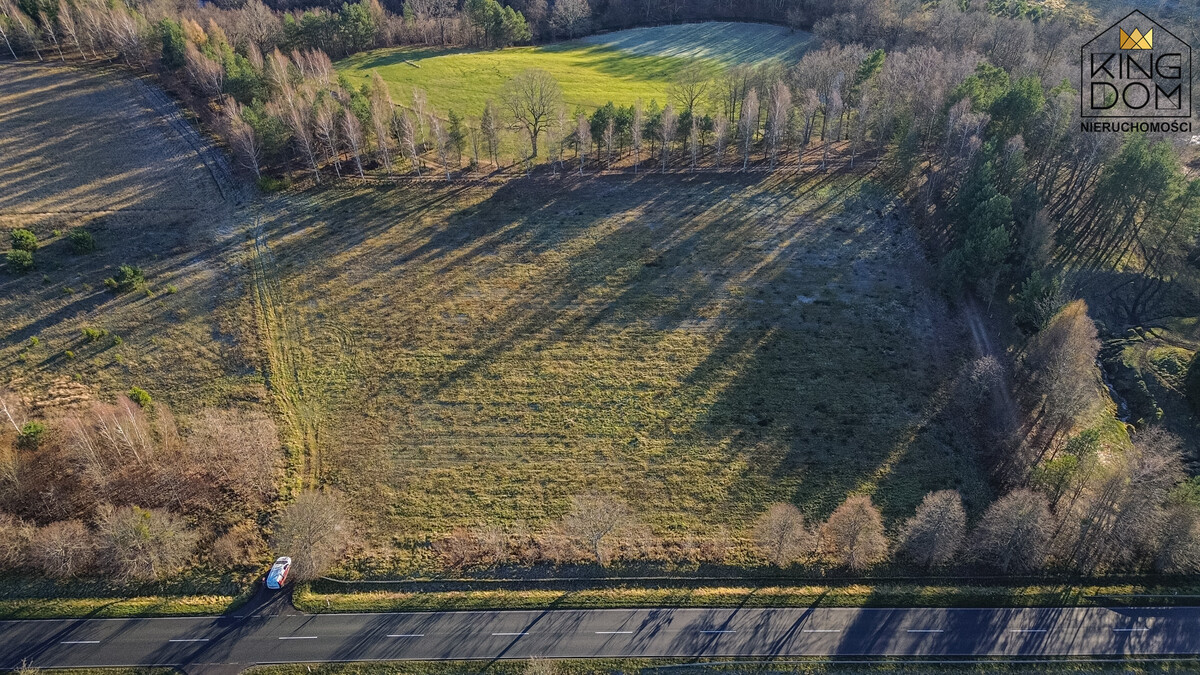 Elbląg KINGDOM NIERUCHOMOŚCI BLISKO CIEBIEDZIAŁKA Z POTENCJAŁEM - 3000 m2 BĄDŹ 11.601 m2Z WYDANYMI WARUNKAMI ZABUDOWYW