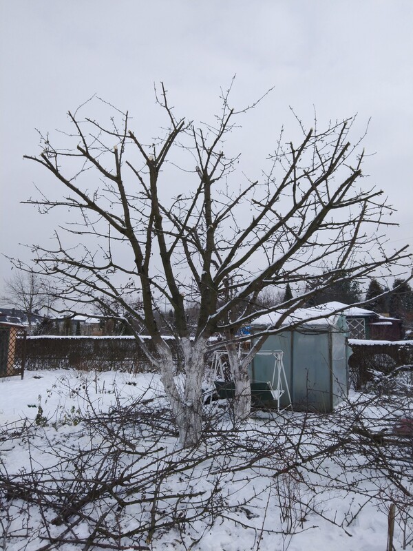 Elbląg ODBIORĘ ZALEGAJACY ZŁOM, ELEKTRO-ŚMIECI Z GARAŻU POMIESZCZEŃ GOSPODARCZYCH, PIWNICY, OGRODU. W ZAMIAN OFERUJE
