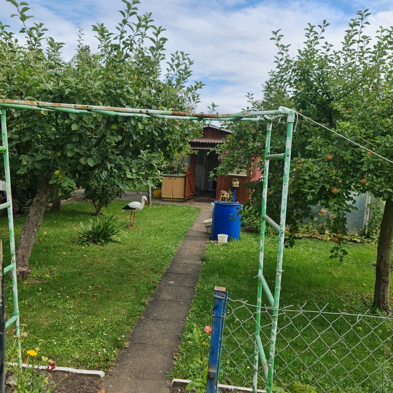 Elbląg Sprzedam działkę ogrodniczą. Działka ma 250 m2. ROD Przyjaźń przy ulicy Malborskiej Brama Nr 5.Jest altanka