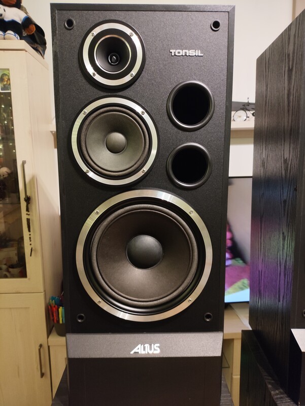 Elbląg Altus 300.Altus 200