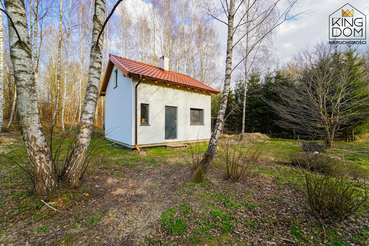 Elbląg 👑🏠 KINGDOM 🏠👑NIERUCHOMOŚCI BLISKO CIEBIE CAŁOROCZNY DOMEK