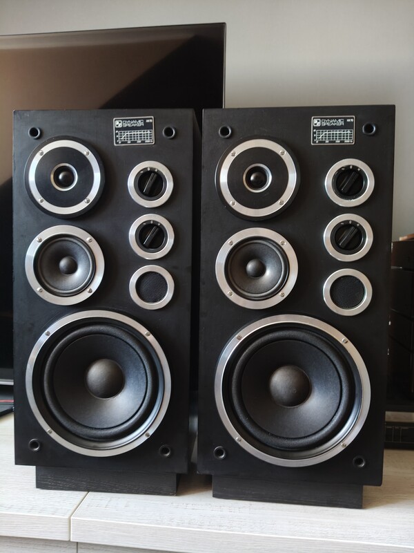 Elbląg Twoje głośniki charczą, mają sparciałe zawieszenia, a może jeden z nich całkowicie przestał grać? Nie kupuj