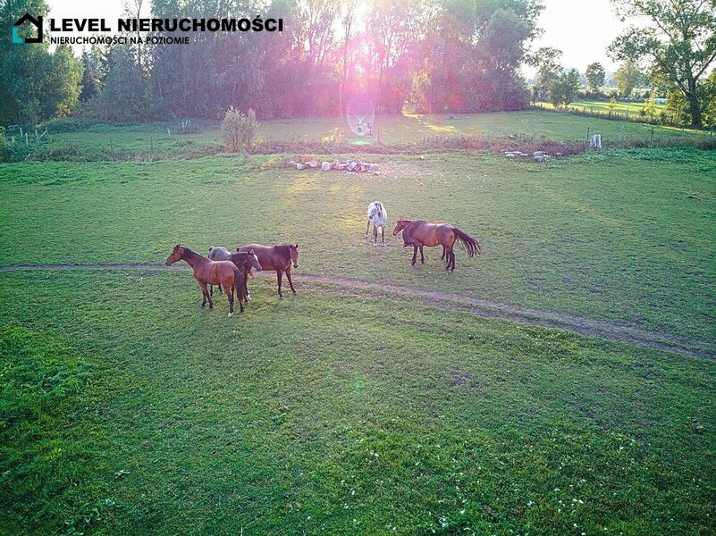Elbląg LEVEL NIERUCHOMOŚCIDziałki pod miastemJezioroNIERUCHOMOŚCI NA POZIOMIE