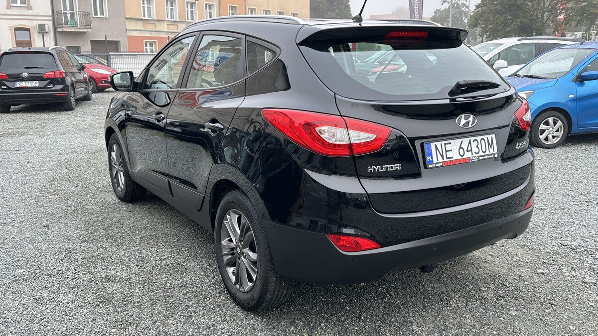 Elbląg Auto Leew LEWANDOWSKI Kupujemy i Sprzedajemy tylko dobre auta Za auta z Polskiego Salonu Płacimy Najwięcej