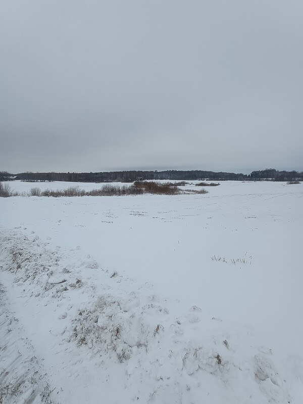 Elbląg Sprzedam 20 hektarów gruntów rolnych położonych we wsi Ząbrowiec gmina Godkowo powiat elbląski. Większość