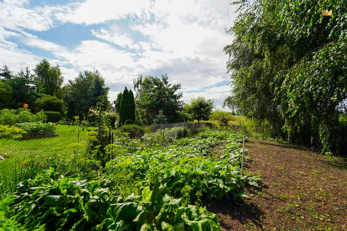 Elbląg 👑🏠 KINGDOM 🏠👑NIERUCHOMOŚCI BLISKO CIEBIE WOLNOSTOJĄCY