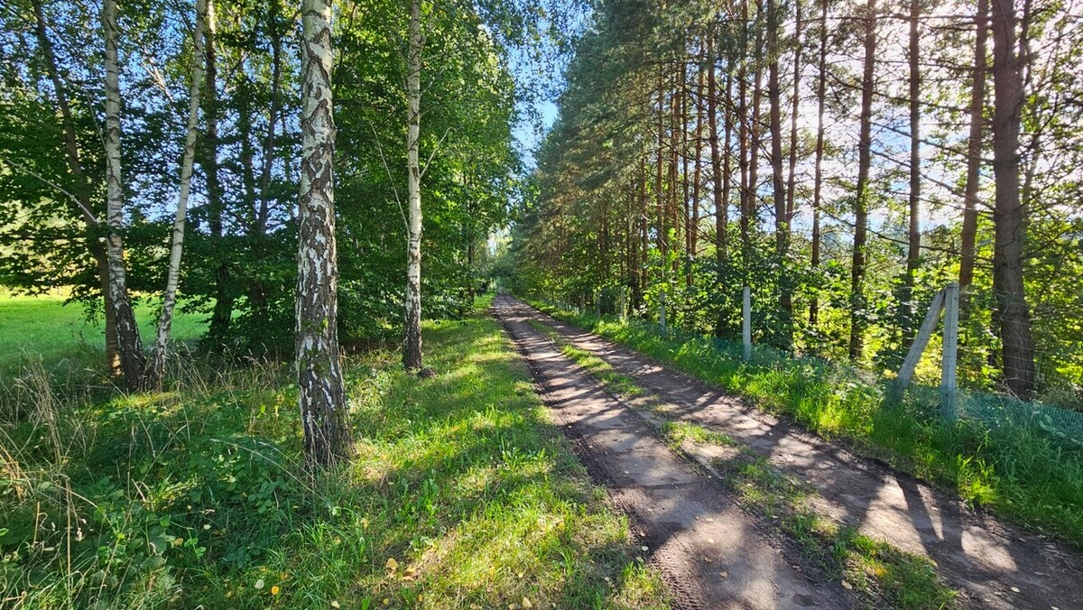 Elbląg BIURO NIERUCHOMOŚCISZULC& SZULCDziałka budowlana - Kamiennik Wielki, gmina MilejewoPowierzchnia - 3034 m2Na