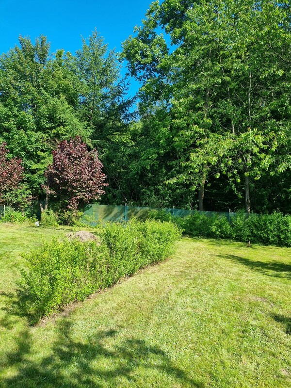 Elbląg 🌳 Działka ROD Bielany Wzgórze 🌞