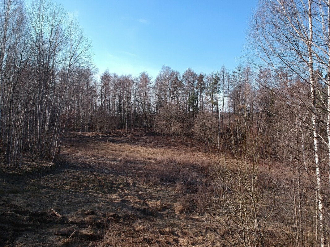 Elbląg SZULC & SZULC BIURO NIERUCHOMOŚCI NA SPRZEDAŻDziałka budowlana - Elbląg ul. JaworowaPowierzchnia: 5075 m2