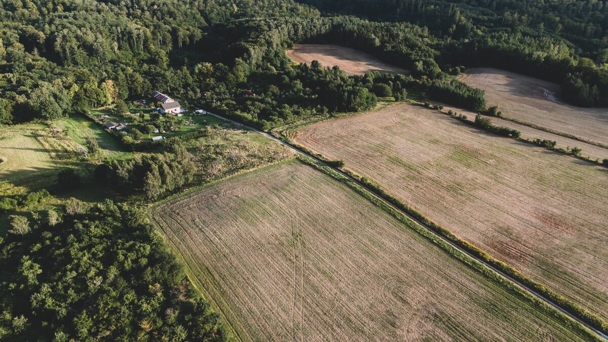 Elbląg Nawiąże współpracę z biurami pośrednictwa nieruchomości w zakresie robienia zdjęć z drona.