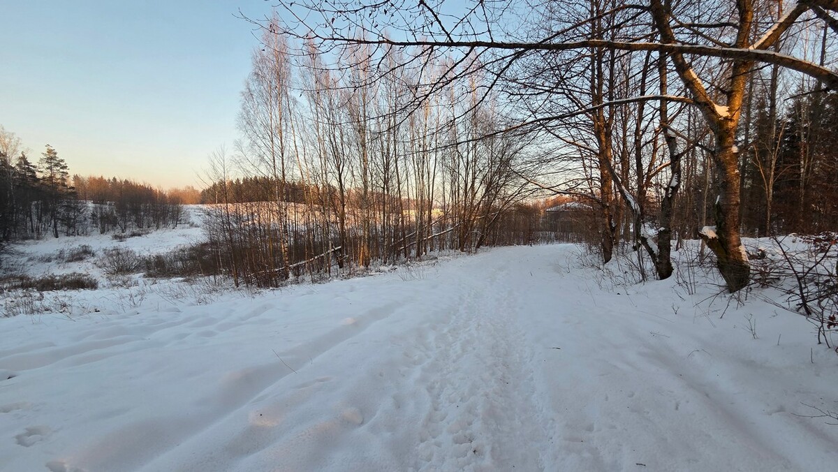 Elbląg BIURO NIERUCHOMOŚCISZULC& SZULCDziałka budowlana w miejscowości Elbląg ul. Jaworowa /Dąbrowa/ o