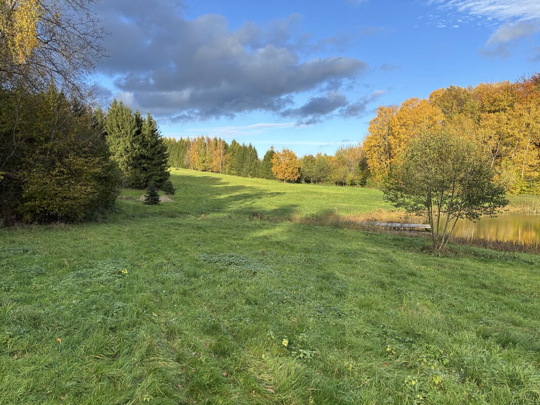 Elbląg Działki budowlane koło Elbląga na sprzedaż.