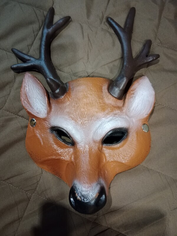 Elbląg Sprzedam stroje karnawałowe po córce w cenie od 20 zł do 35 zł, maska i peruka po 10 zł. Możliwość odbioru w