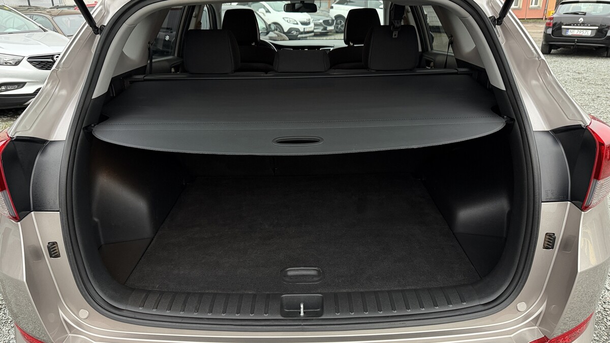 Elbląg Auto Leew LEWANDOWSKI