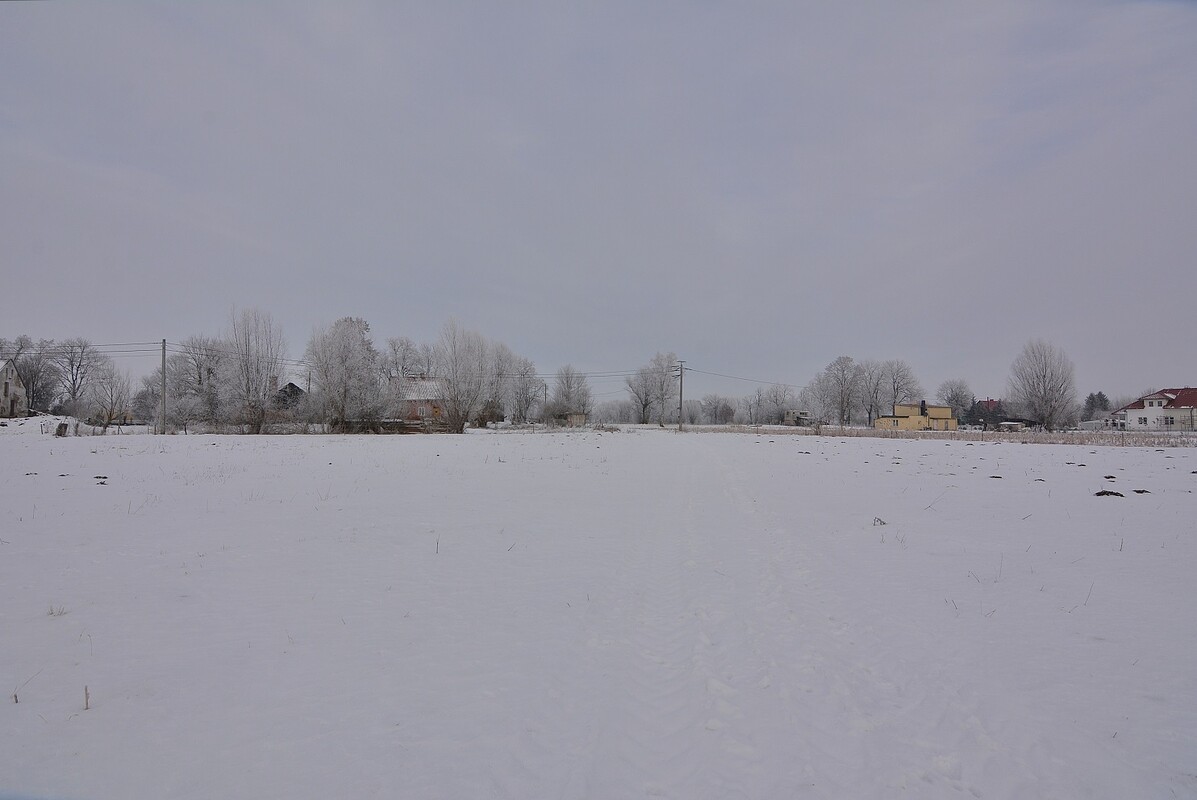 Elbląg NA SPRZEDAŻ DZIAŁKA W MIEJSCOWOŚCI MARKUSY, POWIAT ELBLĄSKI. WGN Nieruchomości oddział Elbląg poleca w