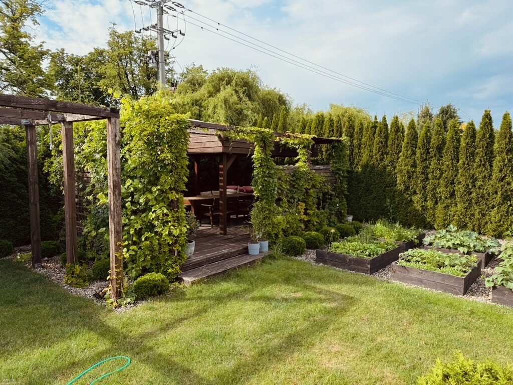 Elbląg Dom wśród sosen – enklawa ciszy i harmonii, ul. Wileńska, Elbląg