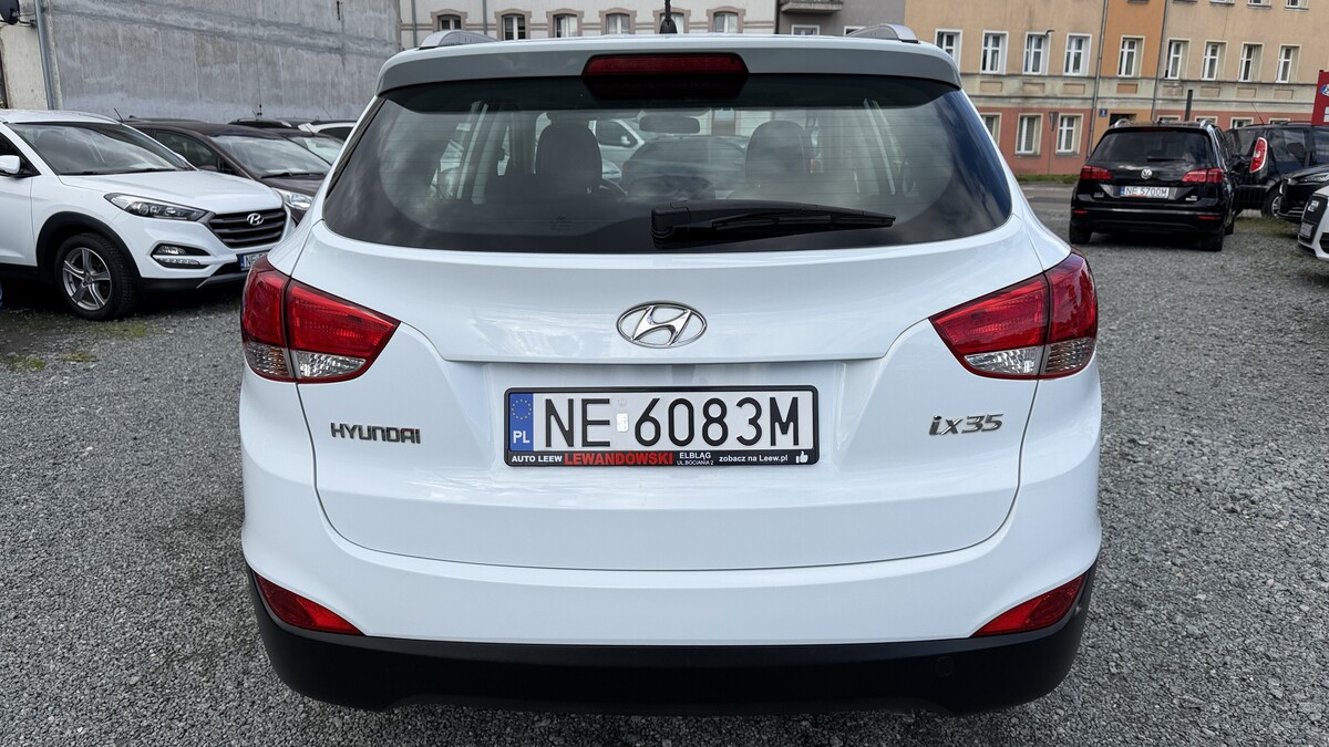 Elbląg Auto Leew LEWANDOWSKI Kupujemy i Sprzedajemy tylko dobre auta Za auta z Polskiego Salonu Płacimy Najwięcej