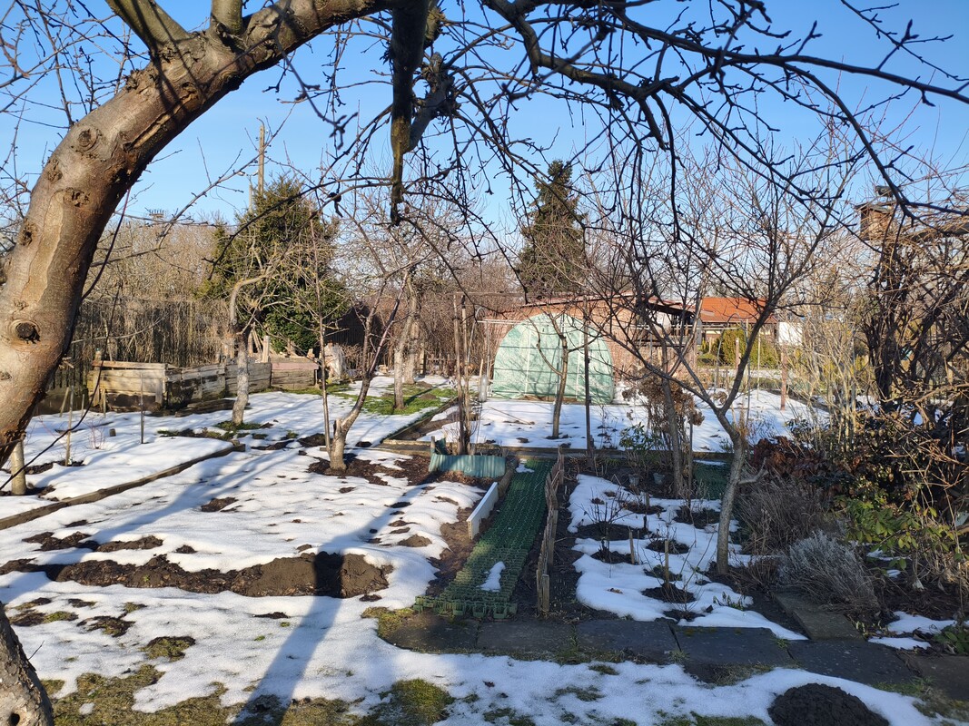 Elbląg 🌿 Twój zielony azyl w mieście! Wyjątkowa działka ROD przy ul. Druskiej na sprzedaż! 🏡
