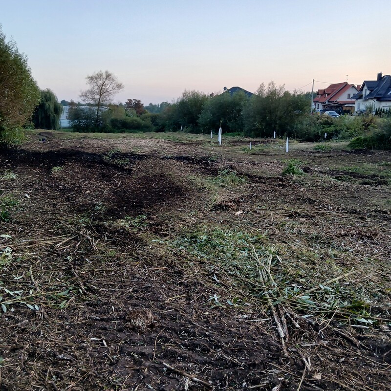 Elbląg SPRZEDAM DZIAŁKI BUDOWLANE W GRONOWIE GÓRNYM 🏡Zamieszkaj w spokojnej okolicy blisko Elbląga!