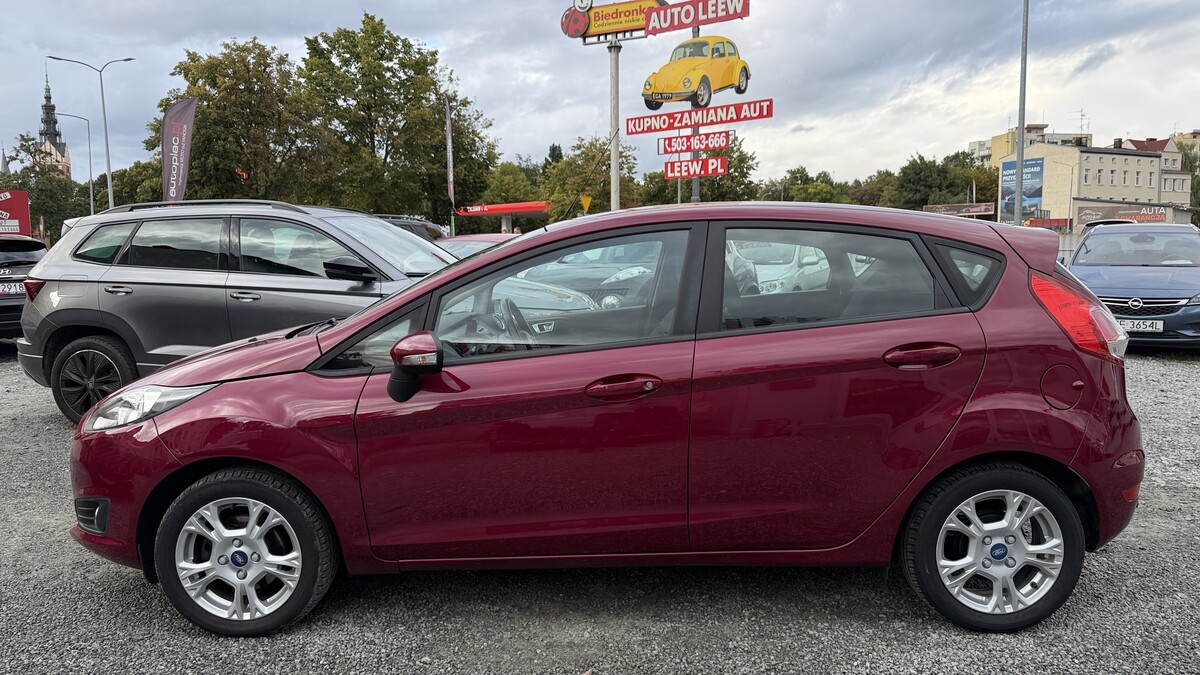 Elbląg Auto Leew LEWANDOWSKI Kupujemy i Sprzedajemy tylko dobre auta Za auta z Polskiego Salonu Płacimy Najwięcej FORD