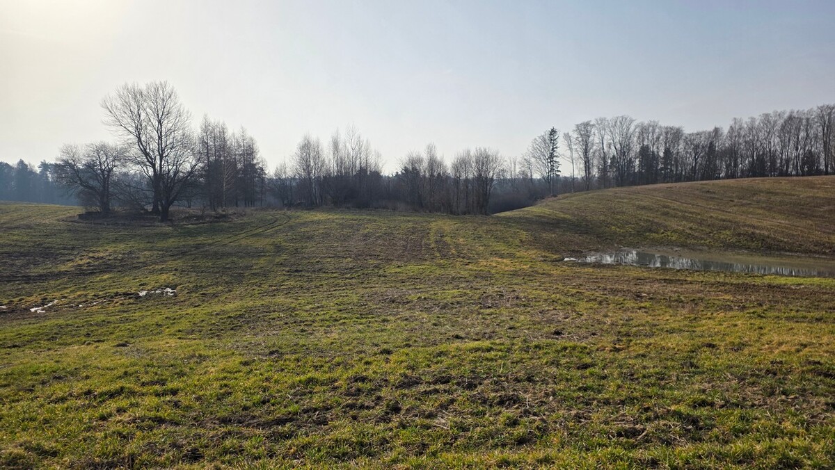 Elbląg SZULC & SZULC BIURO NIERUCHOMOŚCI NA SPRZEDAŻDziałka budowlana - Stare Monasterzysko /gmina