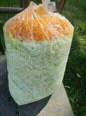 Elbląg 🥗 KAPUSTA SZATKOWANA 10 KG ELBLĄG – DOWÓZ GRATIS! 🛒