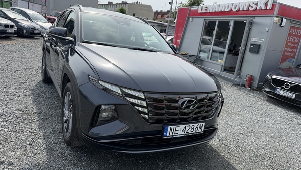 Elbląg Auto Leew LEWANDOWSKI Kupujemy i Sprzedajemy tylko dobre auta Za auta z Polskiego Salonu Płacimy Najwięcej