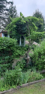 Elbląg Sprzedam ogródek działkowy ROD Słoneczne Wzgórze w Elblągu&nbsp; 