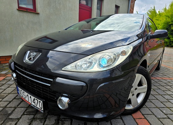 Elbląg Peugot 307 CC Kabriolet Lift 2.0Benzynka 136km Bogata  Wersja Wyposażenia 2005Rok-Elektryczne Szyby Abs