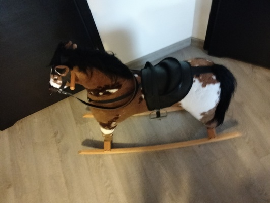 Elbląg Sprzedam konia na biegunach