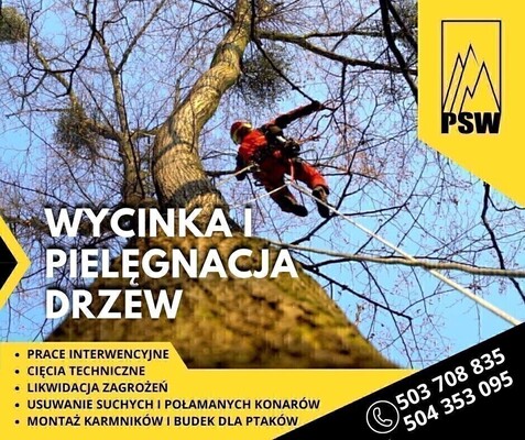 Elbląg Wycinamy i pielęgnujemy drzewa w miejscach trudno dostępnych Podcinamy drzewa owocowe, wykonujemy cięcia