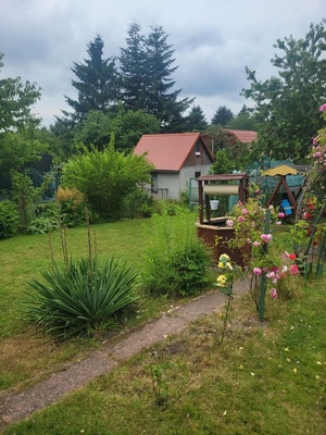 Elbląg Działka Rod- Dojazd autem pod działkę