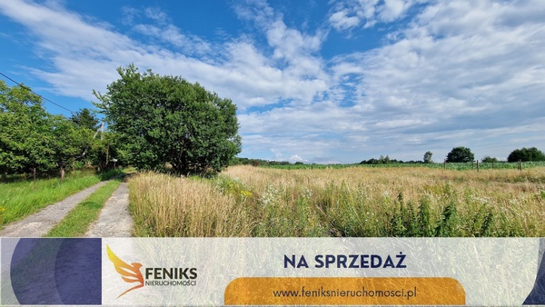 Elbląg FENIKS NIERUCHOMOŚCIPOLECA:DZIAŁKA BUDOWLANA ELBLĄG-OKÓLNIKCENA 285.000 ZŁ  POWIERZCHNIA 765  M2WODA,