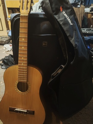 Elbląg Gitara klasyczna PROELstan bardzo dobry. ..