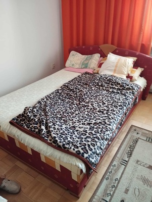 Elbląg Szafa ubraniowa-200 zł, tapczan-200 zł. Stan dobry. Transport własny. Polecam!