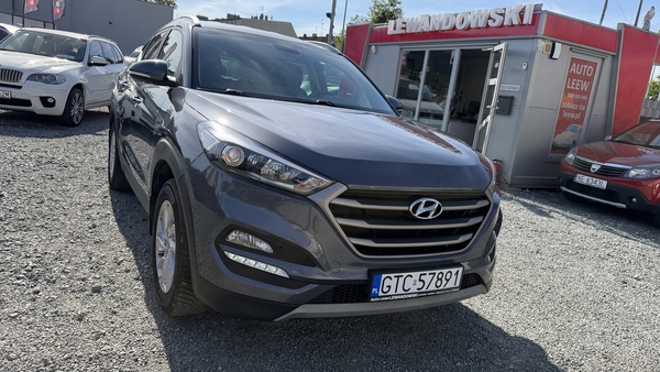 Elbląg Auto Leew LEWANDOWSKI