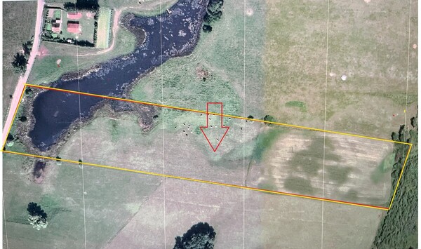 Elbląg Sprzedam działkę - Lechowo 🌳🏞️Działka rolna w Lechowo, gmina PieniężnoCena: