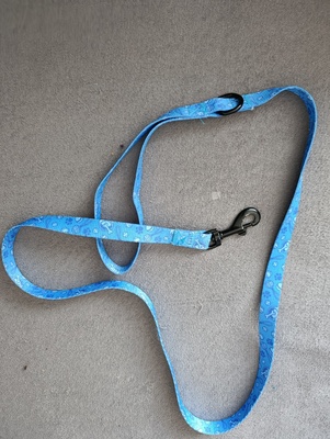 Elbląg Sprzedam lub zamienię na jakis przysmak dla pieska smycz dla psa. Stan bardzo dobry. Kontakt sms