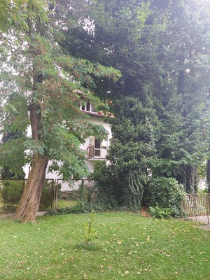 Elbląg Bez posrednikow
Piękne przestronne 2 pokojowe mieszkanie na
 1 PIETRZE z BALKONEM 
SPOKOJNA  ZIELONA