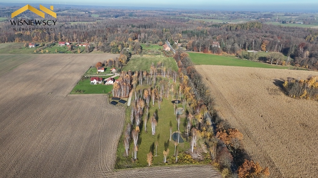 Elbląg WIŚNIEWSCY NIERUCHOMOŚCI Sp. z o.o.Sprzedam działkę - Dawidy. Oferta sprzedaży działki rolnej z wydaną