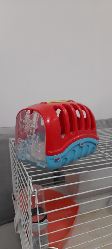 Elbląg Witam. Do sprzedania klatka dla chomika, świnki ewentualnie królika miniaturki. Klatka w bardzo dobrym stanie z