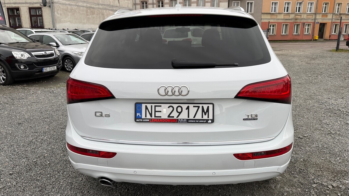 Elbląg Auto Leew LEWANDOWSKI Kupujemy i Sprzedajemy tylko dobre auta Za auta z Polskiego Salonu Płacimy Najwięcej AUDI