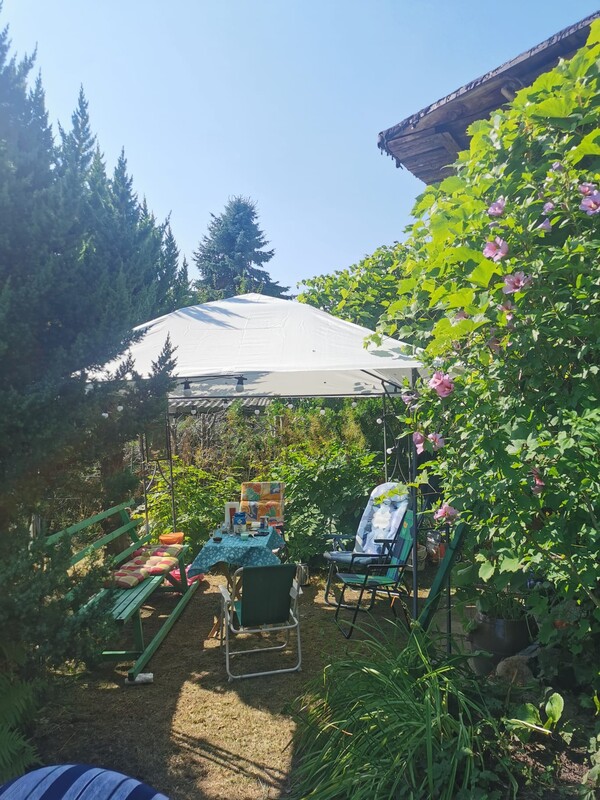 Elbląg Sprzedam piękną działkę rekreacyjna idealne miejsce na odpoczynek.