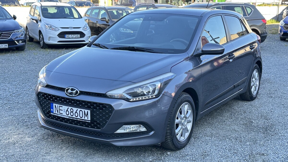 Elbląg Auto Leew LEWANDOWSKI Kupujemy i Sprzedajemy tylko dobre auta Za auta z Polskiego Salonu Płacimy Najwięcej