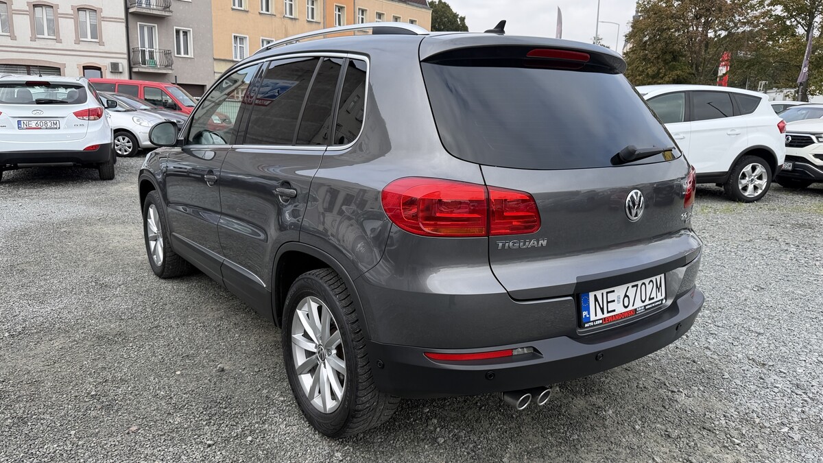 Elbląg Auto Leew LEWANDOWSKI Kupujemy i Sprzedajemy tylko dobre auta Za auta z Polskiego Salonu Płacimy Najwięcej