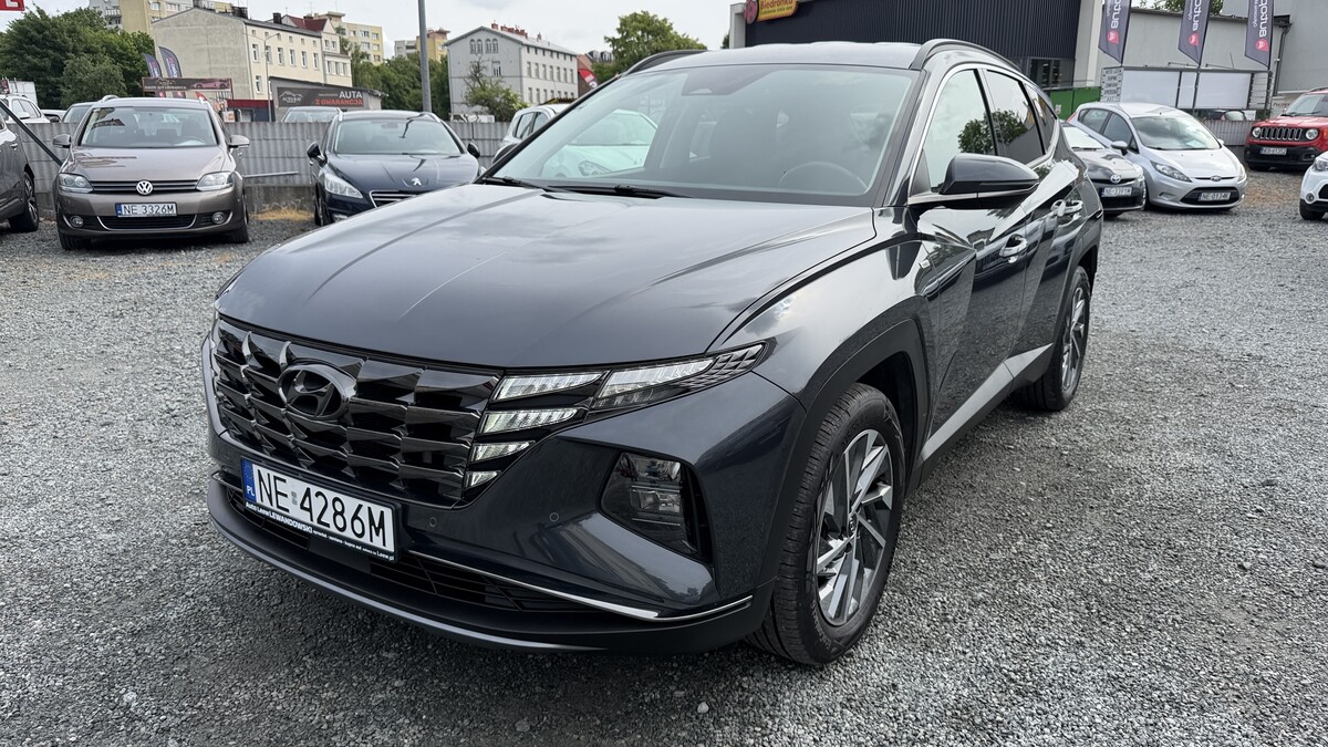 Elbląg Auto Leew LEWANDOWSKI Kupujemy i Sprzedajemy tylko dobre auta Za auta z Polskiego Salonu Płacimy Najwięcej